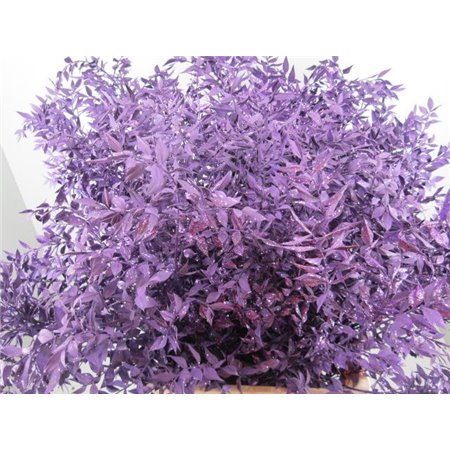 Ruskus Prik Purple Glitter c4116
