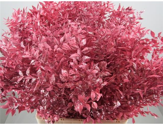 Ruskus Prik Rose Glitter c4118