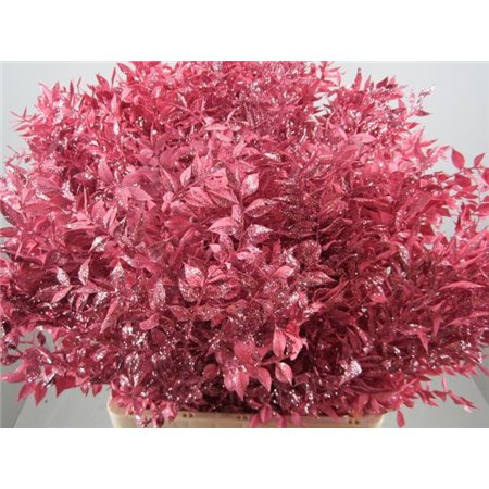 Ruskus Prik Rose Glitter c4118