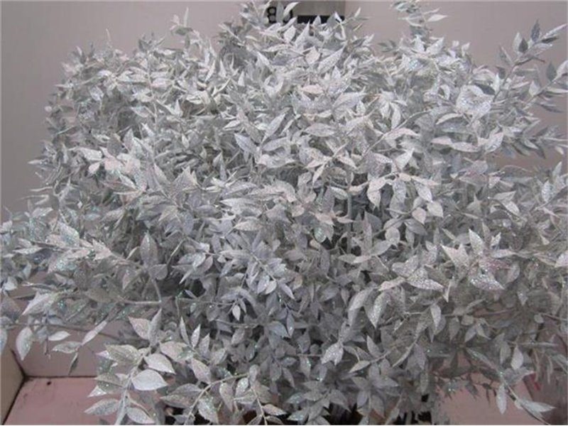 Ruskus Prik Rose Glitter c4119