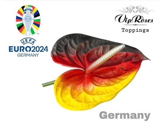 Anthurium A Flag Germany c120