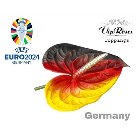 Anthurium A Flag Germany c120