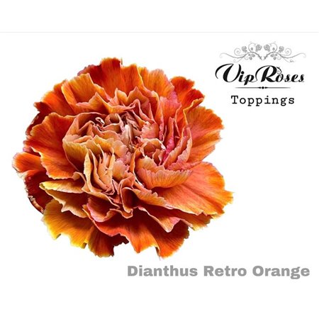 Nagelj Retro Orange c572