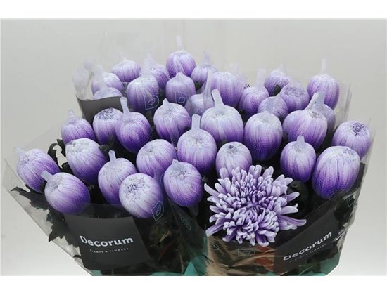 Marjetka deco Antonov Dyed Pastel Milka c691