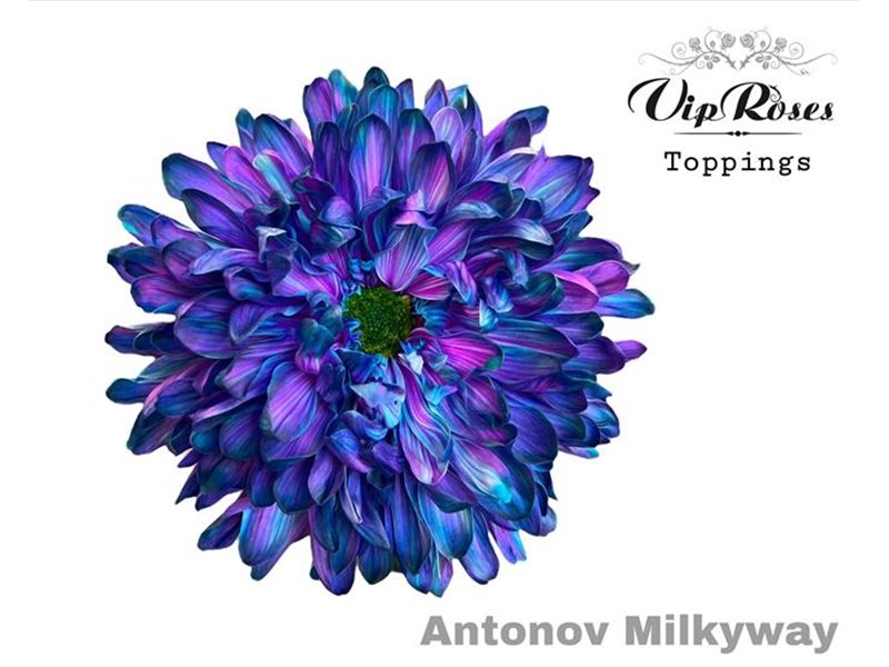 Marjetka deco Antonov Milky Way c695