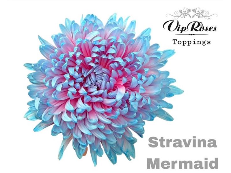Marjetka deco Stravina Mermaid c735