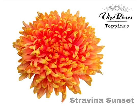 Marjetka deco Stravina Sunset c737