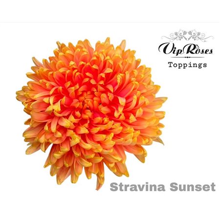 Marjetka deco Stravina Sunset c737