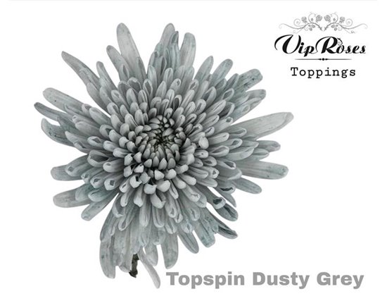 Marjetka deco Topspin Dusty Grey c750