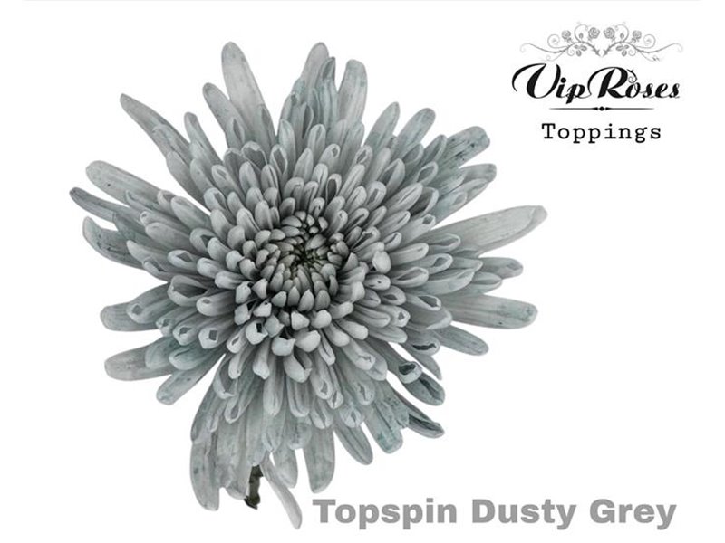 Marjetka deco Topspin Dusty Grey c750