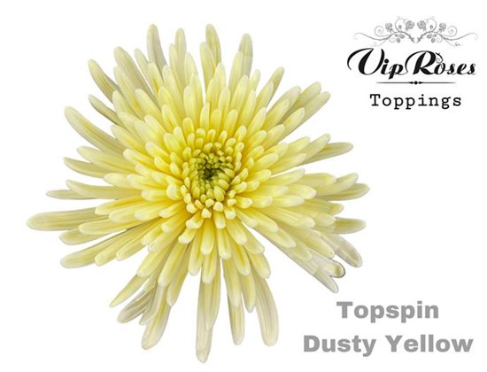 Marjetka deco Topspin Dusty Yellow c755