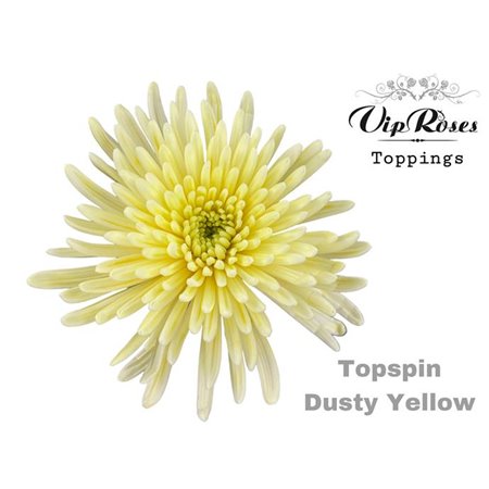 Marjetka deco Topspin Dusty Yellow c755