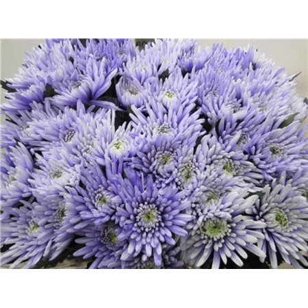Marjetka deco Topspin Pastel Lilac c766