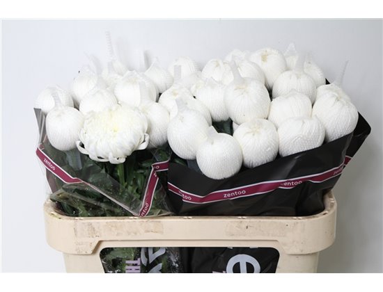 Marjetka deco Tutu c779