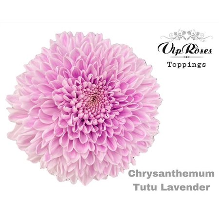 Marjetka deco Tutu Lavender c780