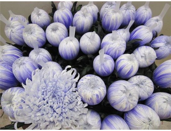 Marjetka deco Tutu Pastel Lilac c781