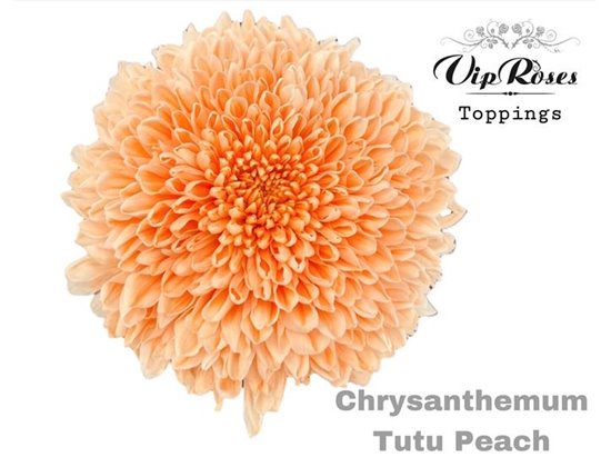 Marjetka deco Tutu Peach c783