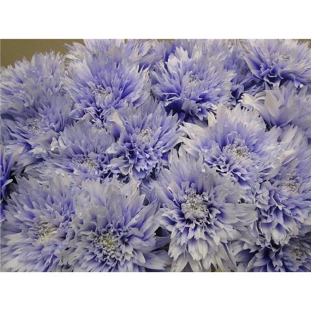 Marjetka deco Undercover Pastel Lilac c786