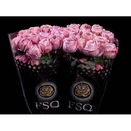 Vrtnica Gar Peonikiss c2681
