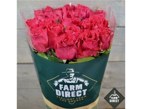 Vrtnica Exotic Berry c3286