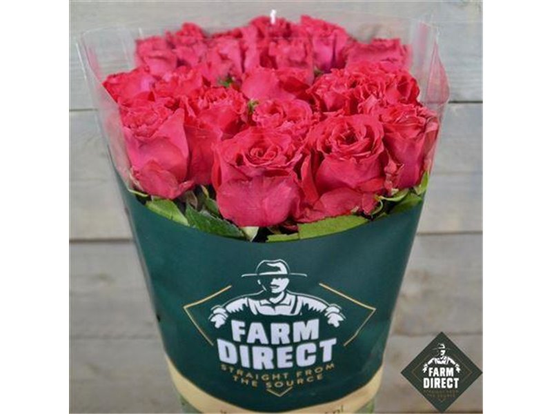 Vrtnica Exotic Berry c3286